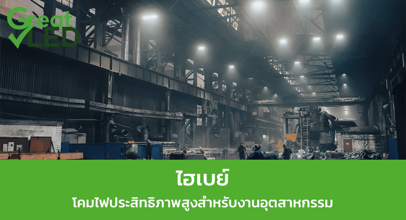 ไฮเบย์
